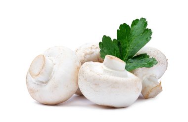 Beyaz backgr taze maydanoz ile izole champignon mantar