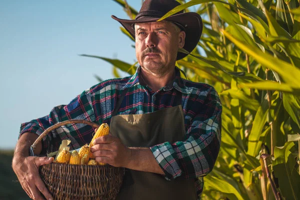 Retrato de un granjero en un sombrero, delantal, con una cesta de jugoso, ri — Foto de Stock