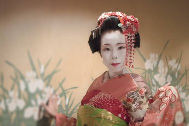 Japon Maiko veya kırmızı kimono yapıyorsun saç broş modelleri kırmızı ile içinde geyşa ve beyaz erik çiçekleri.