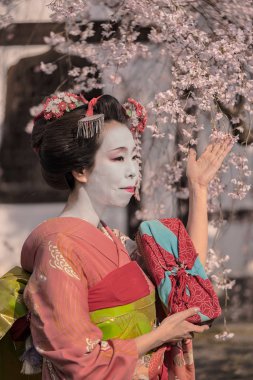 Maiko kiraz çiçekleri tarafından çevrili bir geleneksel Japon evin önünde poz bir kimono içinde.