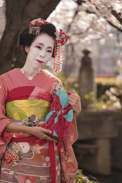 Maiko Kimono Pozują Przed Kwitnącej Wiśni Pobliżu Mostu Kennin Świątyni — Zdjęcie stockowe