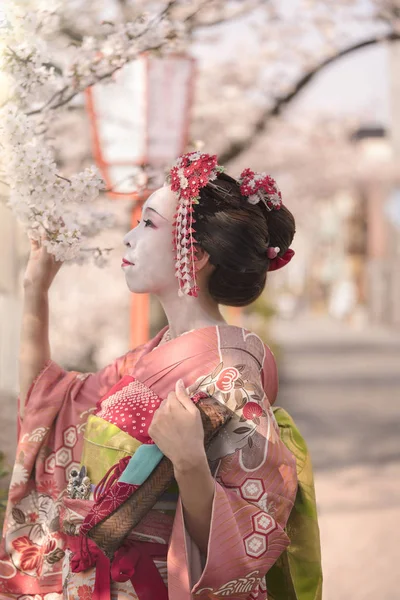 プロファイルの日没で桜の花を眺めでポーズをとって着物の舞妓さん — ストック写真