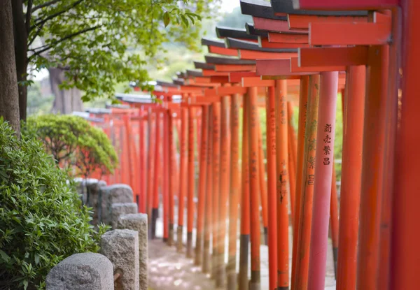 Paprsky Slunce Procházející Mezi Červené Torii Portál Svatyně Shintoist Nezu — Stock fotografie