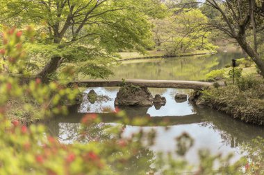 Rikugien Park Bunkyo bölgesinde, Tokyo kuzeyinde gölet üzerinde Japon Togetsu taş köprü ve çiçek bokeh. 18. yüzyılın başında park oluşturuldu.