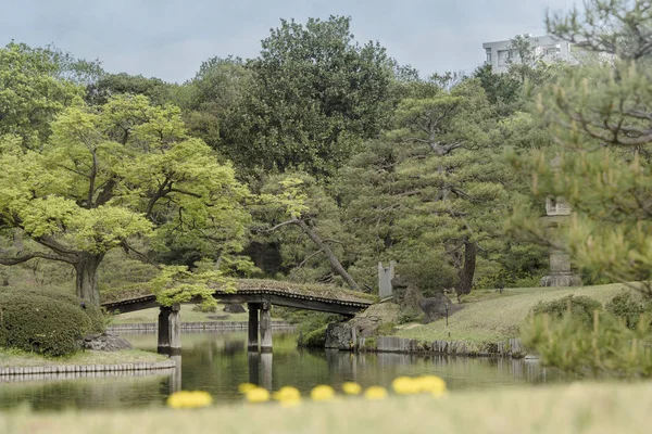 Ponte Japonesa Madeira Dentsuru Bride Lagoa Rikugien Park Distrito Bunkyo — Fotografia de Stock