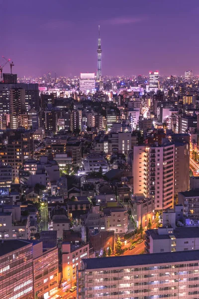 Aerial Nattvisning Distriktet Korakuen Tokyo Med Skytree Tornet Bakgrunden — Stockfoto
