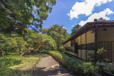 Tokyo, Japonya - 29 Haziran 2018: Çay evi tarafından çam ağaçları ve taş fener Shinjuku Gyoen Park Tokyo Japonya tarafından çevrili bir yol astarlı Rakuutei adlı.