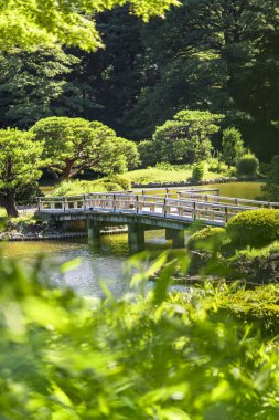 Tokyo, Japonya - 29 Haziran 2018: Üst Pond 's cilt zikzak şeklinde köprü ve akçaağaç ve çam ormanları geleneksel Japon Bahçe, yaz başında bir yanan altında Park güneş Gyoen.
