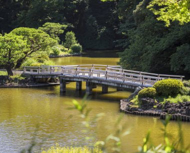 Tokyo, Japonya - 29 Haziran 2018: Üst Pond 's cilt zikzak şeklinde köprü ve akçaağaç ve çam ormanları geleneksel Japon Bahçe, yaz başında bir yanan altında Park güneş Gyoen.