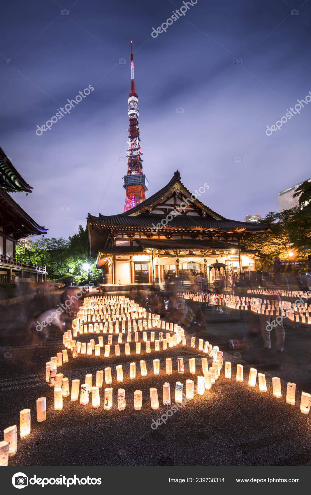 ground paper lanterns