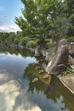 Merkez gölet Mejiro ördekler nerede istirahat Bahçe ve hangi büyük kayalarla çevrili ve ağaçlar ve momiji akçaağaç iroha-momiji, yama-momiji veya oo-momiji gibi çeşitli Japon ve bitki örtüsü altında taş pagoda pines.