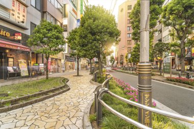 Gün ışığı Sokağı'nda Ikebukuro Doğu çıkışına Tokyo.The kaldırım eğrileri adım farklı otlar ile gömülü bloklar vurguladı olarak moss taş çiçek süslemeleri