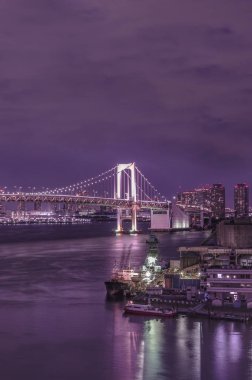 Aydınlatılmış Gökkuşağı Köprüsü 'nde Mor bir gece Tokyo Odaiba Körfezi' ne demirlemiş yolcu gemileriyle.