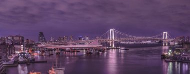 Kargo ve yolcu gemileri Tokyo 'nun Odaiba Körfezi' nde demirlemiş ya da yelken açmış, aydınlık Gökkuşağı Köprüsü 'ne giden dairesel otoyolun panoraması..