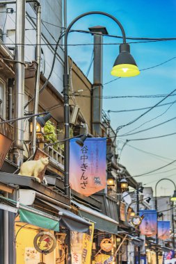 Tokyo, Japonya : 23 Ağustos 2018: Retro eski moda alışveriş caddesi Yanaka Ginza gün batımı için muhteşem bir nokta olarak ünlü ve aynı zamanda Evening Village adlı. Yanaka'nın maskotu, çatılarda oymalar görülebilen Sen adında bir kedi..