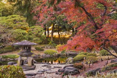 Tokyo, Japonya - 4 Aralık 2019: Tokyo Büyükşehir Parkı Kyufurukawa 'nın Japon bahçesinin sonbaharda kırmızı akçaağaç momiji yapraklarına bakan Yukimi taş feneri.
