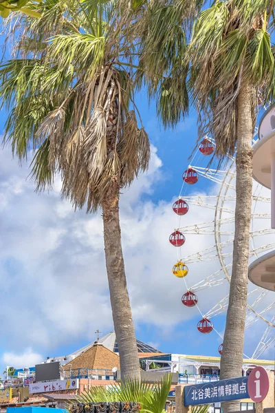 Mihama Carnival Park Ruota Panoramica Situata Nel Quartiere American Village — Foto Stock