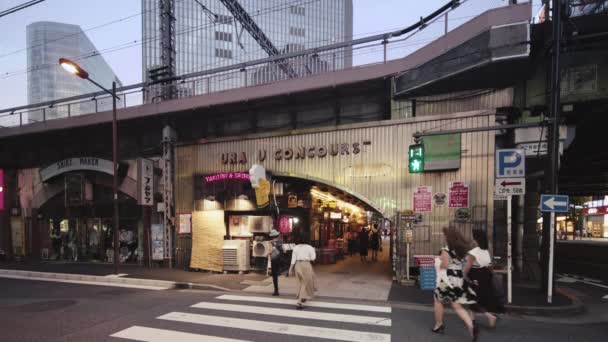 Japoński Showa retro tunel Yuraku Concourse w Tokio — Wideo stockowe
