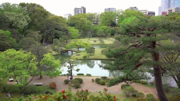 Χρονοχρονική διάρκεια βίντεο του κήπου του Rikugien στο Τόκιο στην Ιαπωνία. — Αρχείο Βίντεο
