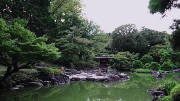 Tokyo Metropolitan Park Kyufurukawa Japon bahçe's Yukimi taş fener yaz aylarında Shinji gölet bakan Pan video. — Stok video