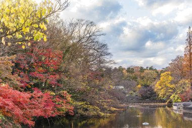 Mitaka ve Kichijouji 'deki Kichijoji Inokashira Parkı..