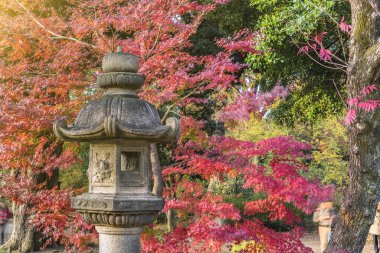 Tokyo, Japonya - 09 Aralık 2019: Sonbaharda Tokyo Rikugien bahçesindeki kırmızı akçaağaç momijisi altında Stone Kasuga feneri.
