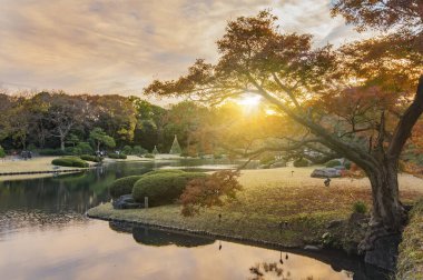 Tokyo, Japonya - 09 Aralık 2019: Japonya 'daki Rikugien bahçesinde günbatımı gökyüzünün altında büyük bir sonbahar akçaağaç ile bir adacık üzerinde ahşap bir köprü ile gölet.