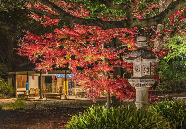 Tokyo Japão Dezembro 2019 Iluminação Noturna Outono Uma Lanterna Kasuga — Fotografia de Stock