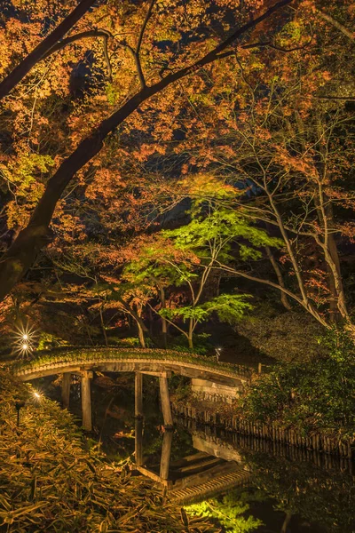 Tokyo Japan Dicembre 2019 Illuminazione Notturna Autunnale Del Ponte Legno — Foto Stock