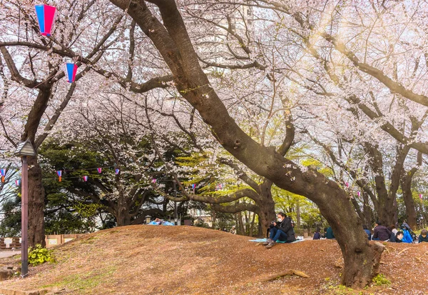 Tokio Japonia Marzec 2020 Kobieta Masce Oglądająca Zdjęcia Aparacie Somei — Zdjęcie stockowe