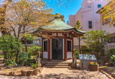 Tokyo Sanat Üniversitesi ya da Geidai 'nin kurucusuna adanmış altıgen pavilyon Yanaka' nın Okakura Tenshin Anıt Parkı 'nda kiraz ağaçları altında..