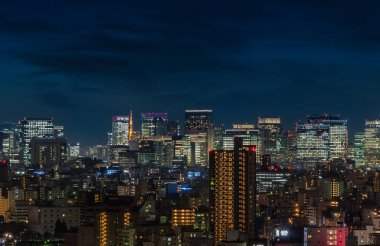 Tokyo, Japonya - 25 Mart 2020: Tokyo kulesi ışıklandırılmış Tokyo 'nun gökdelenleri ve binalarının panoramik hava manzarası.