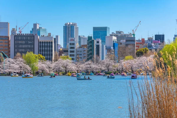 Hierba Sususuki Seca Frente Estanque Shinobazu Del Templo Kaneiji Rodeada — Foto de Stock