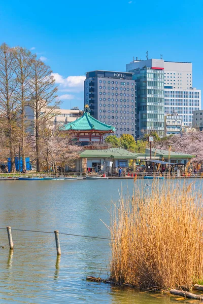 Getrocknetes Susuki Gras Shinobazu Teich Und Boote Die Ponton Der — Stockfoto