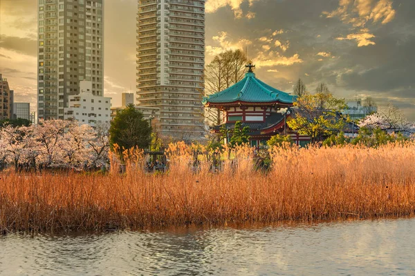 Getrocknete Lotusstämme Und Susuki Gras Shinobazu Teich Vor Dem Achteckigen — Stockfoto