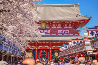 Tokyo, Japonya - Nisan 04 2020: Nakamise alışveriş sokağındaki kiraz ağaçlarının altında yürüyen kalabalık Asakusa Sensoji tapınağındaki Kobunacho 'nun dev kağıt fenerine çıkıyor..