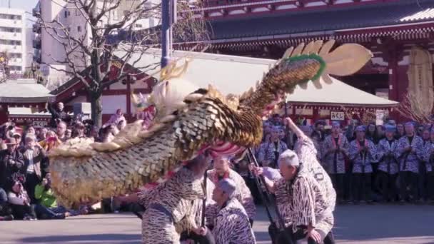 Statische video van gouden draak dans festival in de Sensoji tempel van Asakusa. — Stockvideo