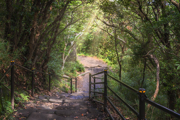 Каменная лестница пешеходной тропы каменоломни горы Нокогири, ведущей к скалам Джигоку Нозоки или Пип в ад с солнечным светом, проникающим через листву.