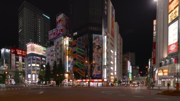 Pan video of the iconic video game arcades SEGA Akihabara 2nd building in Tokyo. — Stock Video