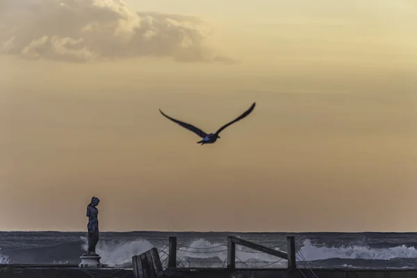 Scultura Abbandonata Ponte Sul Mare Con Gabbiano Fuori Fuoco Che — Foto Stock