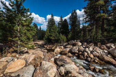 Fall River, Rocky Dağı Milli Parkı, Colorado