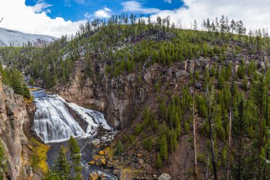 Gibbon Falls, Yellowstone Milli Parkı, Wyoming
