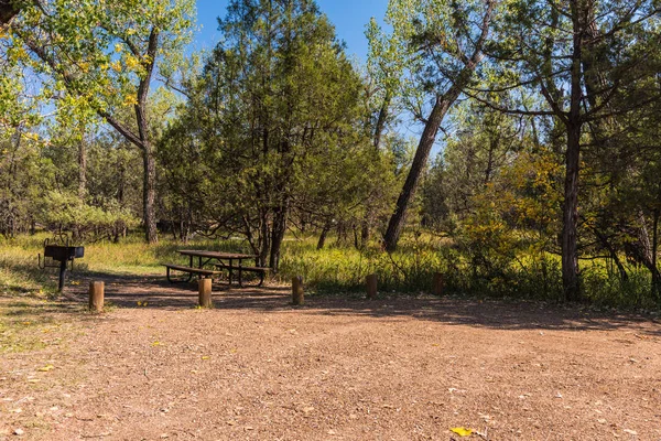 Cottonwood Χώρος Κατασκήνωσης Στο Θεόδωρος Ρούσβελτ Εθνικό Πάρκο Στη Βόρεια — Φωτογραφία Αρχείου