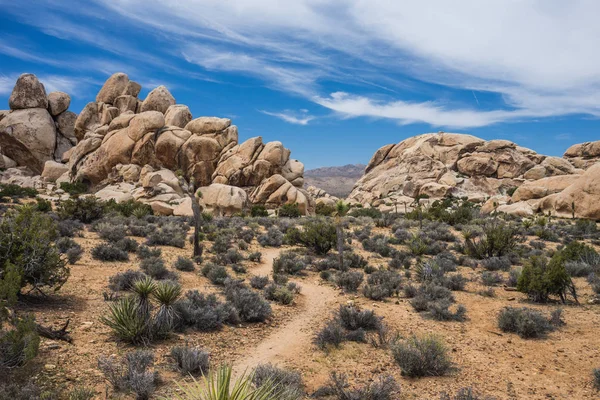 Hall Horrors Joshua Tree National Park California Royalty Free Stock Images