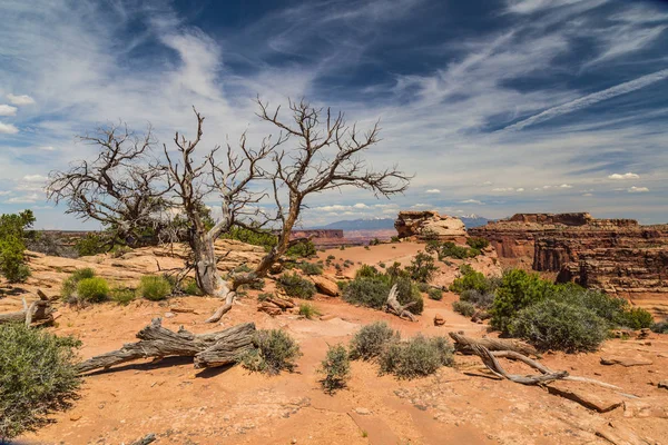 Shafer Canyon Viewpoint Trail Canyonlands National Park Utah Royalty Free Stock Images