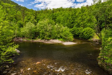 Townsend Wye büyük Smoky Dağları Milli Parkı Tennessee