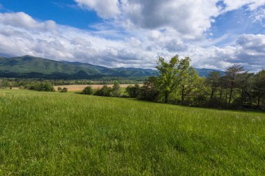 Cades Cove in Great Smoky Mountains National Park in Tennessee clipart