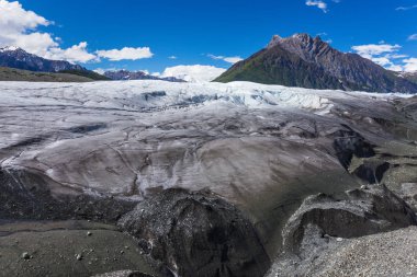 Kök buzul iz Wrangell-St. Elias Milli Parkı'nda Alaska