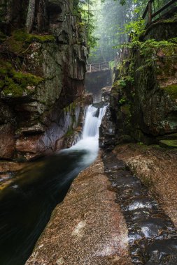 White Mountain National Forest New Hampshire'da Sabbaday düşüyor