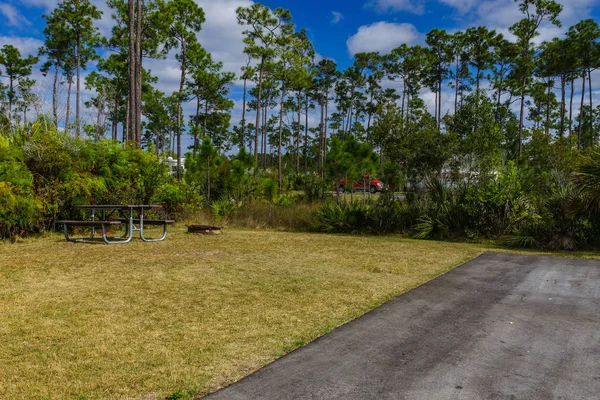 Long Pine Key Campground Everglades Nationalpark Florida — Stockfoto